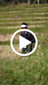 BIB:  <button type="button" onclick="openModal(26787476)" class="btn btn-primary btn-sm float-right" data-toggle="modal" data-target=".modal-high-quality">
                <i class="fa fa-download"></i> Download
                </button>